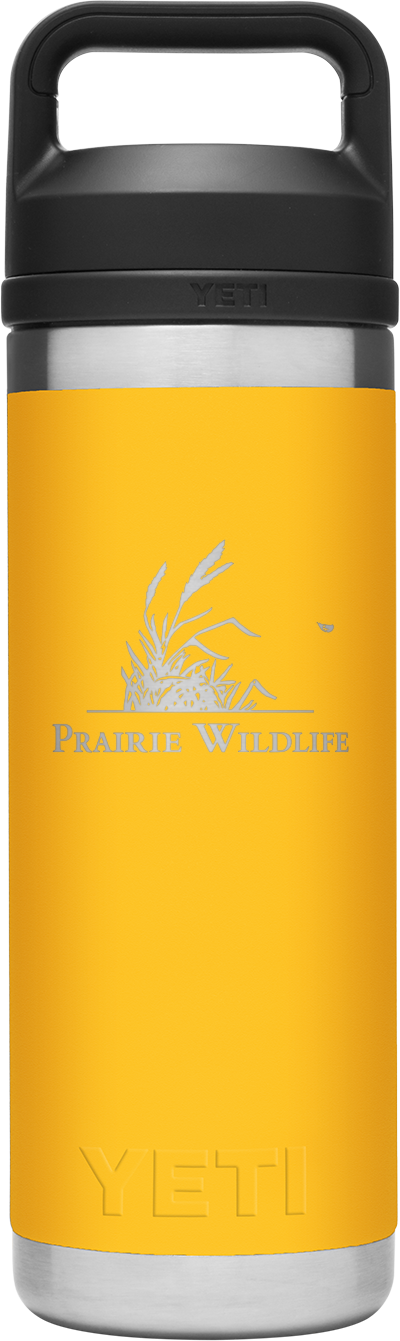 Yeti Bottle Chug 18 Oz Prairie Wildlife Edition